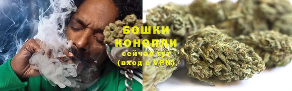 МДПВ Осинники