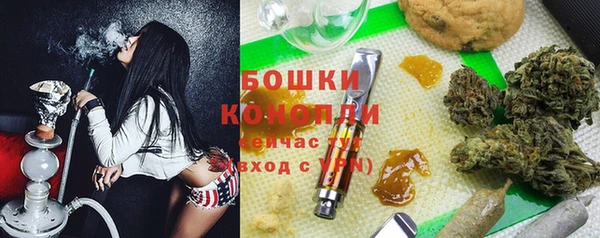эйфоретик Осташков