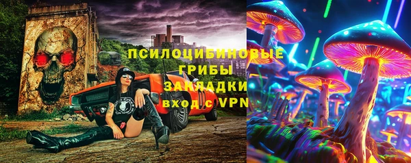 МДПВ Осинники