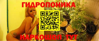 эйфоретик Жуковский