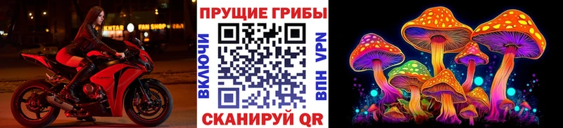 Псилоцибиновые грибы Magic Shrooms  Выкса 