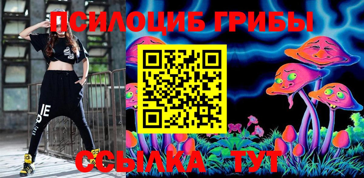 Псилоцибиновые грибы мицелий  наркота  Выкса 