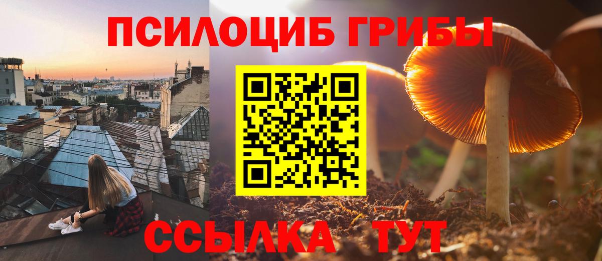 Выкса  Псилоцибиновые грибы мицелий  наркотики  Вход с VPN 